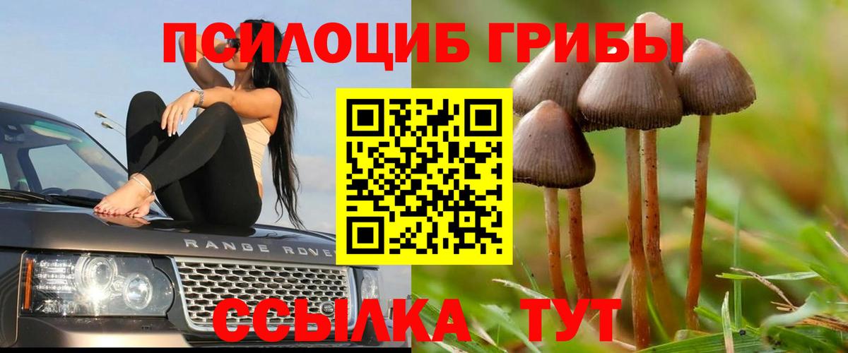 где можно купить   Галлюциногенные грибы GOLDEN TEACHER  Вход с VPN  Фролово 